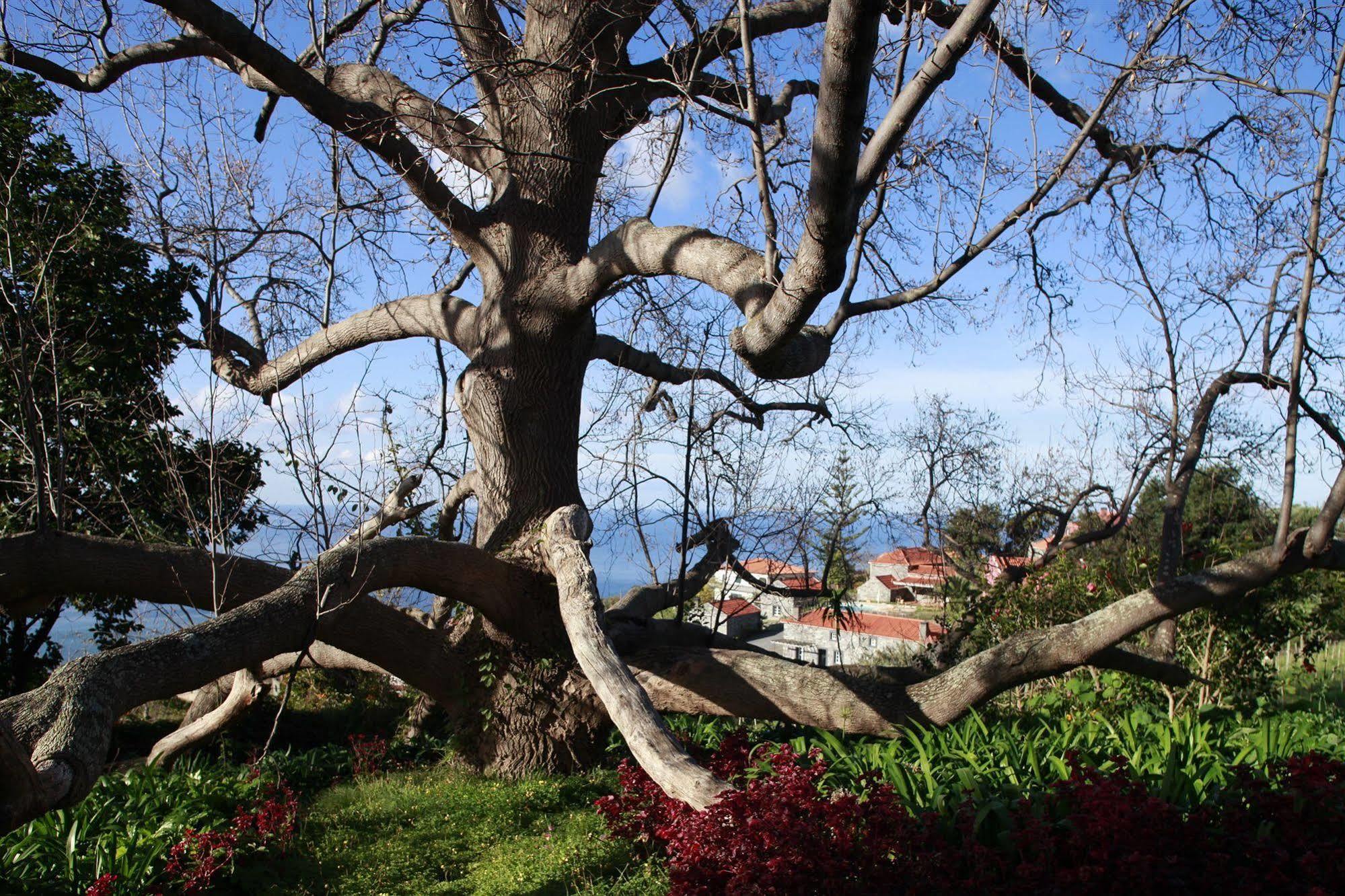 Quinta Das Vinhas Calheta  Exterior photo