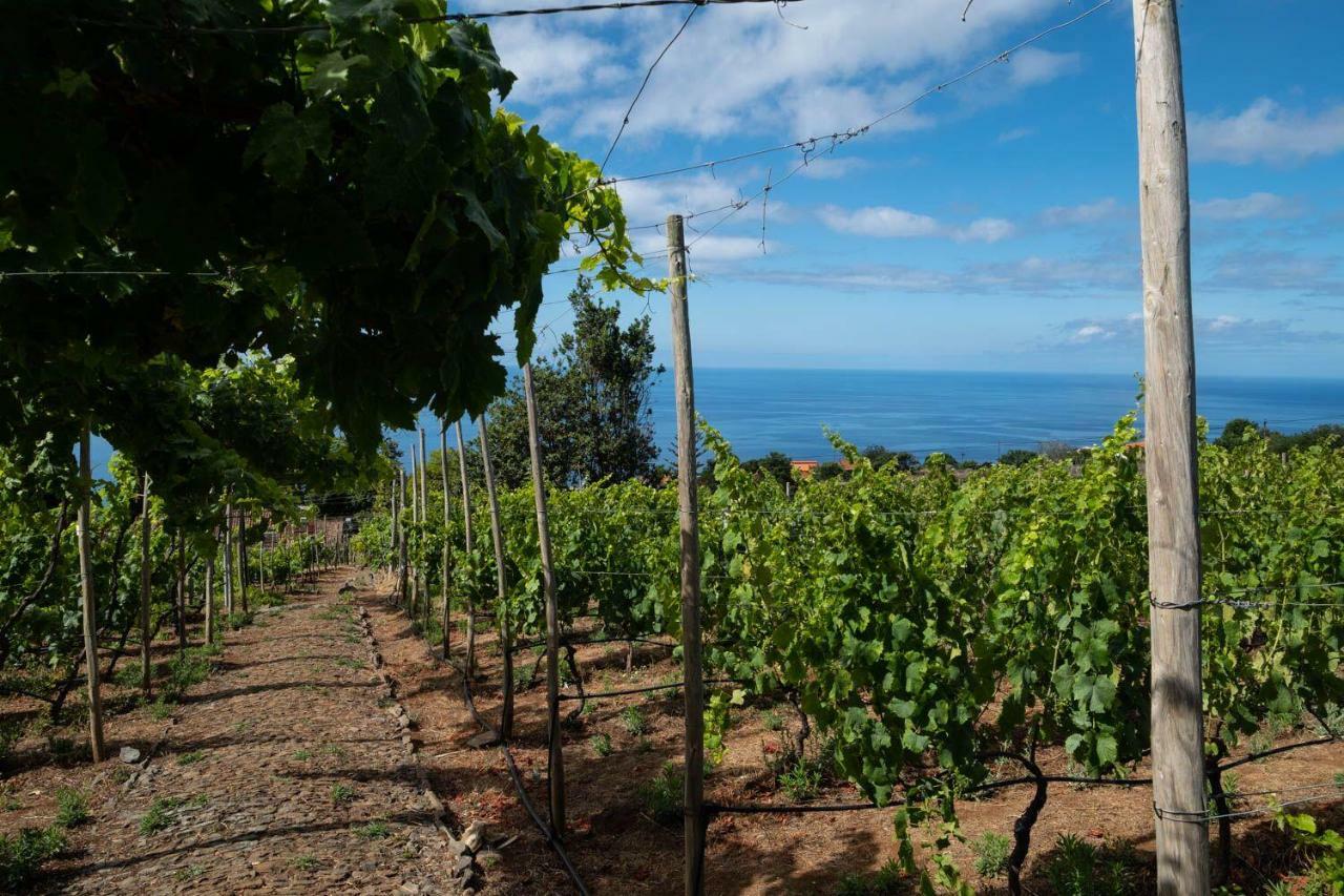 Quinta Das Vinhas Calheta  Exterior photo